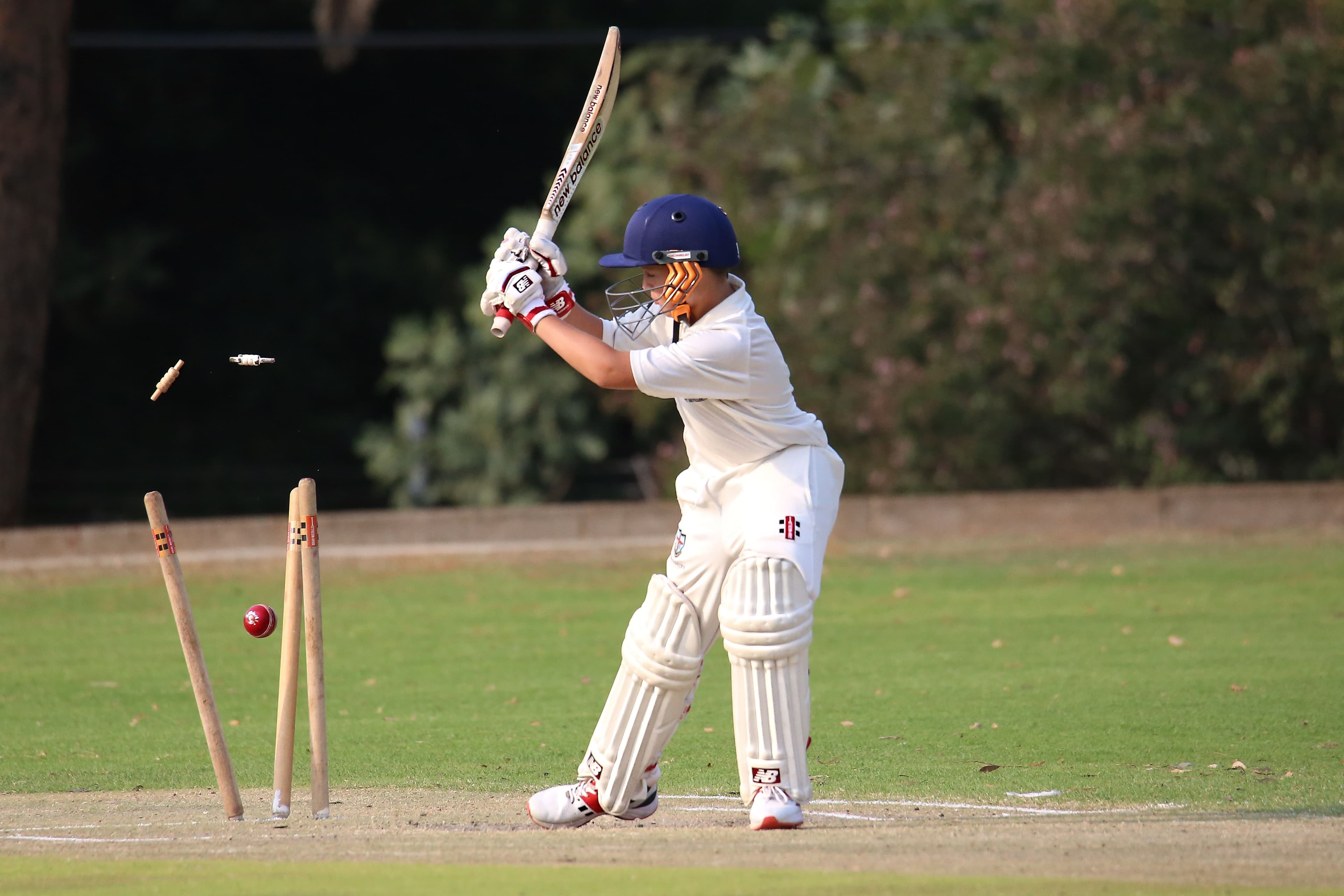 Gingins Cricket Club crest